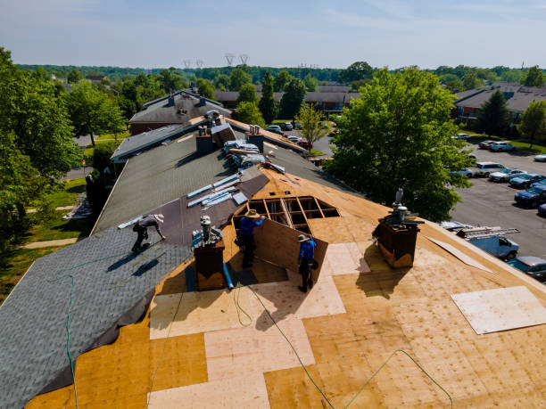 Best Metal Roofing Contractor  in Mantachie, MS