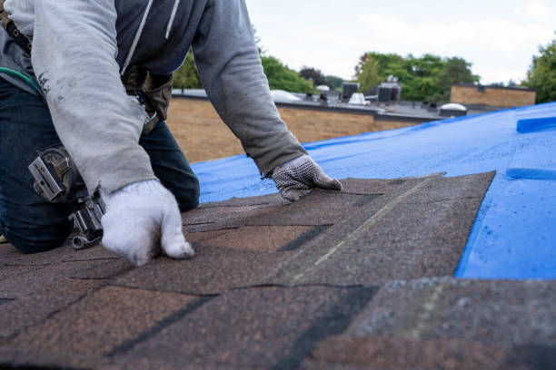Best Gutter Installation and Roofing  in Mantachie, MS