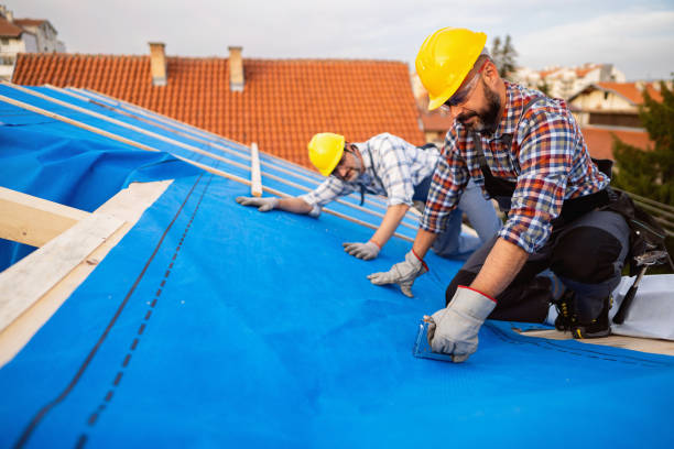 Sealant for Roof in Mantachie, MS