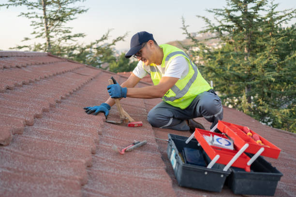 Best Roof Maintenance Services  in Mantachie, MS